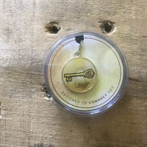 Alex and Ani Skeleton Key Chain Station Charm